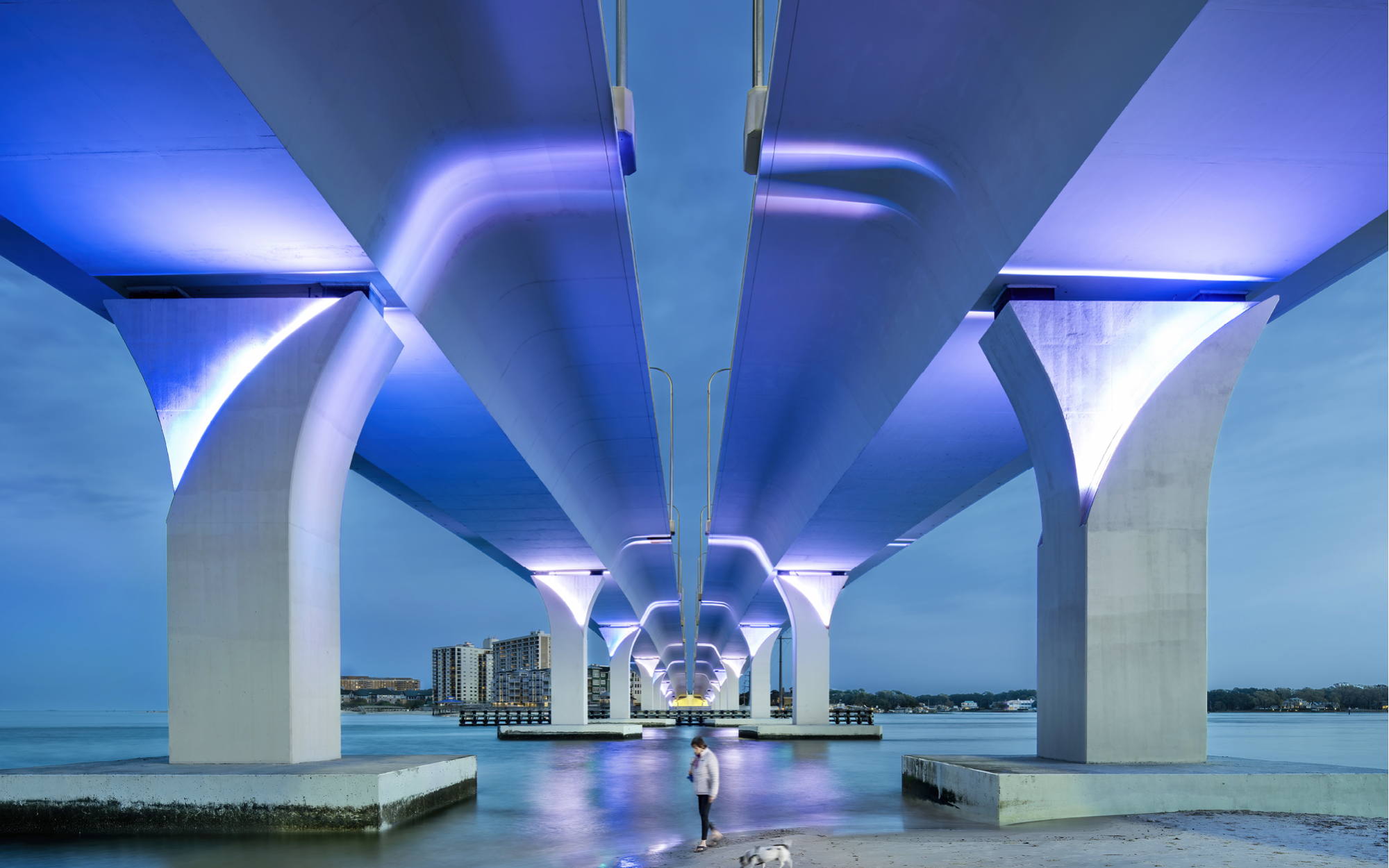 Project Page - Lesner Bridge - VIA design